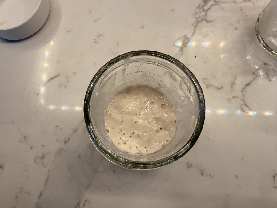 Active sourdough starter with bubbles visible on the surface during Day 3 rehydration