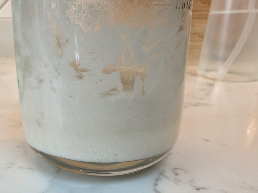 Dried sourdough starter showing first bubbles forming on the sides of a glass jar