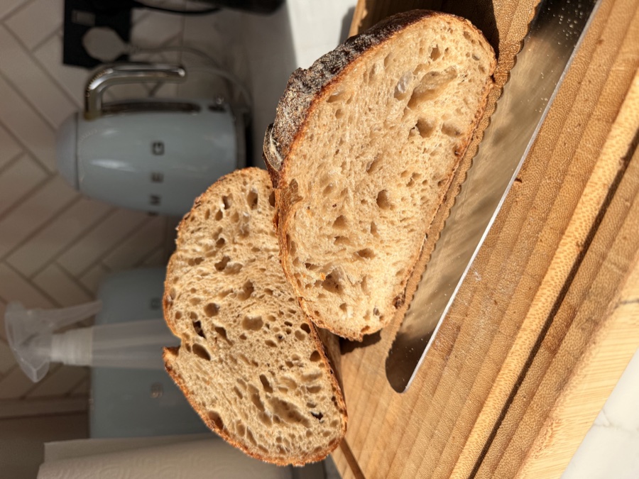Two slices of Guinness sourdough bread showing a darker crumb with an open, airy structure